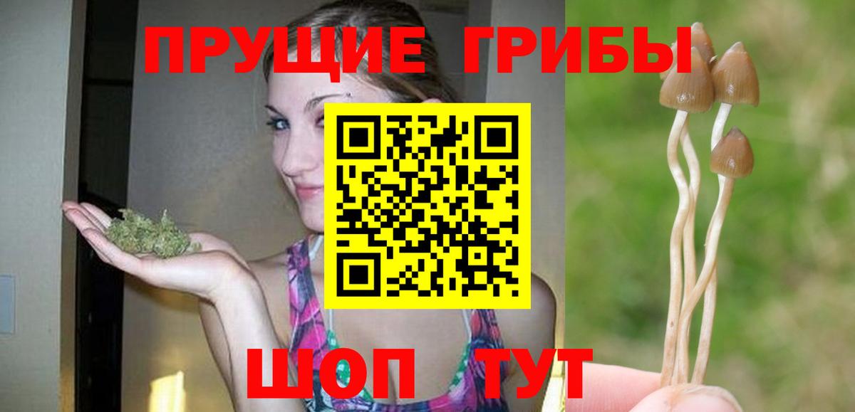 Псилоцибиновые грибы ЛСД  Вход с VPN  Псилоцибиновые грибы Psilocybine cubensis  Кимры 